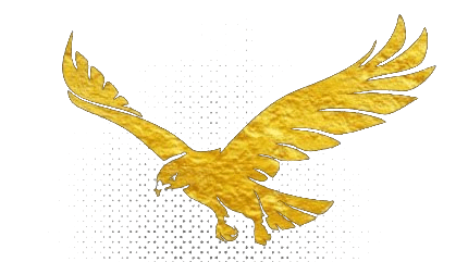 Eagle Vision Technologies